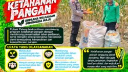 Dukung Astacita, Polsek Palang Polresta Tuban Pantau Langsung Lahan Jagung milik warga Desa Dawung