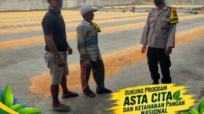 “POLSEK KEREK POLRESTA TUBAN SAMBANG KE GUDANG PENGERINGAN DAN PENYIMPANAN JAGUNG”