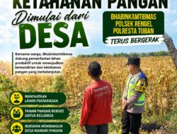Polri Dukung Astacita, Polsek Rengel Polresta Tuban Turun Cek Tanaman Jagung Warga di Desa Rengel