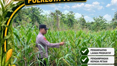 Polsek Bangilan Dukung Ketahanan Pangan Nasional