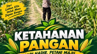 Polsek Soko Polresta Tuban Turun Langsung Cek Tanaman Jagung Warga