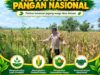 Polsek Plumpang Polresta Tuban Turun Langsung Cek Tanaman Jagung Warga
