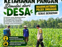 Anggota Polsek Singgahan Polresta Tuban Turun Cek Tanaman jagung Warga di Desa Lajo Kidul