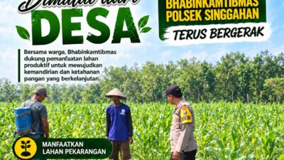 Anggota Polsek Singgahan Polresta Tuban Turun Cek Tanaman jagung Warga di Desa Lajo Kidul