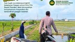 Polri Dukung Astacita, Polsek Merakurak Polresta Tuban Turun Cek Tanaman Jagung Warga di Desa Tuwiri Wetan