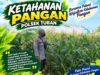 Polsek Tuban Dukung Ketahanan Pangan melalui Sambang dan Monitoring Tanaman Jagung