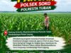 Polsek Soko Polresta Tuban Turun Langsung Cek Tanaman Jagung Warga