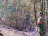 Diduga Puntung Rokok, Kebakaran Hutan Mareje Jadi Peringatan Bersama