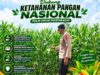 Anggota Polsek Singgahan Polresta Tuban Turun Cek Tanaman jagung Warga di Desa Tingkis