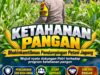 Mendukung Program Ketahanan Pangan, Bhabinkamtibmas Monitoring Pertumbuhan Jagung