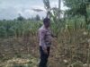 Polri Dukung Astacita, Polsek jenu Polres Tuban Turun Cek Tanaman Jagung Warga di Desa Beji