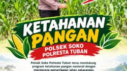 Polsek Soko Polresta Tuban Turun Langsung Cek Tanaman Jagung Warga