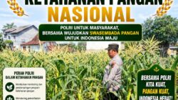 Mendukung Asta Cita Presiden bhabinkamtibmas Polsek Montong Polresta Tuban Pantau Kodisi Tanaman Jagung Milik Warga Desa pakel