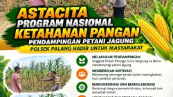 Dukung Astacita, Polsek Palang Polresta Tuban Pantau Langsung Lahan Jagung milik warga Desa Dawung