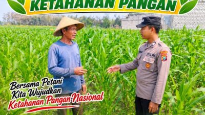 Anggota Bhabinkamtibmas Polsek Senori Polresta Tuban Lakukan Pemantauan Tanaman Jagung Warga Desa Jatisari Dukung Program Ketahanan Pangan