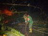 Api Membakar Kebun Bambu dan Pisang di Sesela