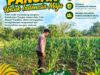 Polri Dukung Astacita, Polsek Merakurak Polresta Tuban Turun Cek Tanaman Jagung Warga di Desa Tuwiri Wetan