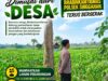 Anggota Polsek Singgahan Polresta Tuban Turun Cek Tanaman jagung Warga di Desa Mulyorejo