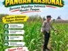 Kawal Swasembada Pangan, Polsek Jatirogo Pantau Langsung Tanaman Jagung di Paseyan