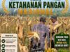 Perkuat Ketahanan Pangan Nasional, Aipda Mariyono Bersama Warga Ngujuran Panen Jagung Raya