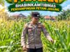 Mendukung Program Ketahanan Pangan, Bhabinkamtibmas Monitoring Pertumbuhan Jagung