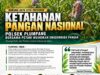 Polsek Plumpang Polresta Tuban Turun Langsung Cek Tanaman Jagung Warga