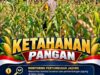Mendukung Program Ketahanan Pangan, Bhabinkamtibmas Monitoring Pertumbuhan Jagung