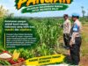 Polri Dukung Astacita, Polsek Merakurak Polresta Tuban Turun Cek Tanaman Jagung Warga di Desa Tuwiri Wetan