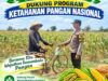 Polsek Palang Dukung Ketahanan Pangan Nasional Melalui Pemantauan Lahan Jagung