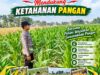 Anggota Bhabinkamtibmas Polsek Senori Polresta Tuban Monitoring Tanaman Jagung Milik Warga Desa Jatisari Dukung Program Ketahanan Pangan