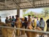 Bhabinkamtibmas dan Babinsa Dampingi Penyaluran Bantuan Bibit Sapi untuk Kelompok Ternak di Desa Banjar