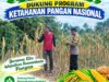 Polsek Palang Dukung Ketahanan Pangan Nasional Melalui Pemantauan Lahan Jagung