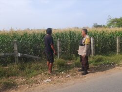 Dukung Program Asta Cita Presiden RI, Bhabinkamtibmas Desa Kukin Dorong Petani Manfaatkan Lahan untuk Tanaman Hortikultura