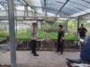 Bhabinkamtibmas Paokmotong Cek Pekarangan Pangan Bergizi, Dukung Ketahanan Pangan dan Kesejahteraan Warga