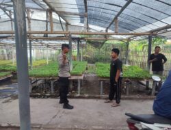 Bhabinkamtibmas Paokmotong Cek Pekarangan Pangan Bergizi, Dukung Ketahanan Pangan dan Kesejahteraan Warga