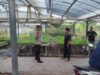 Bhabinkamtibmas Desa Paokmotong Bripka Firman Setiawan Monitoring Lahan Pekarangan Pangan Bergizi Dukung Ketahanan Pangan