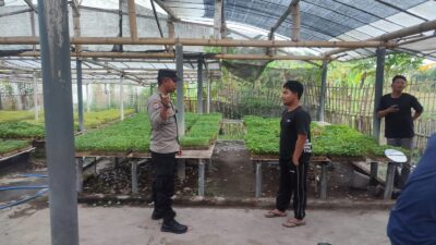 Bhabinkamtibmas Desa Paokmotong Bripka Firman Setiawan Monitoring Lahan Pekarangan Pangan Bergizi Dukung Ketahanan Pangan
